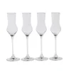 Copas De Cóctel<CASA After Dinner Copas De Grappa Juego De 4 Transparente