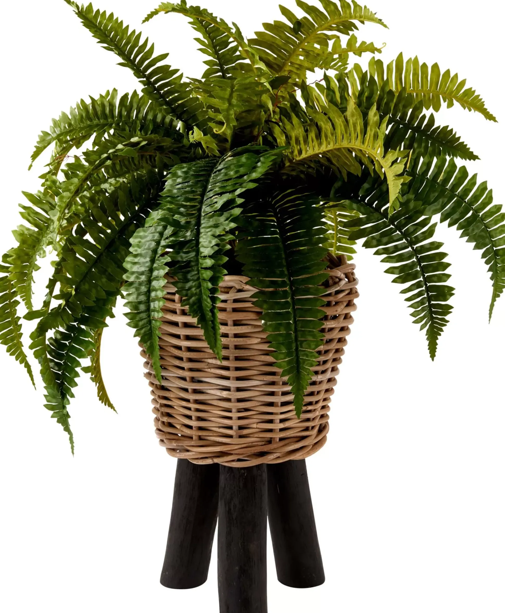 Plantas Artificiales<CASA Boston Planta Helecho Verde