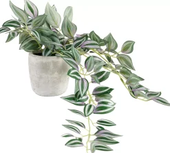 Plantas Artificiales<CASA Calathea Planta Colgante Gris, Verde, Morado