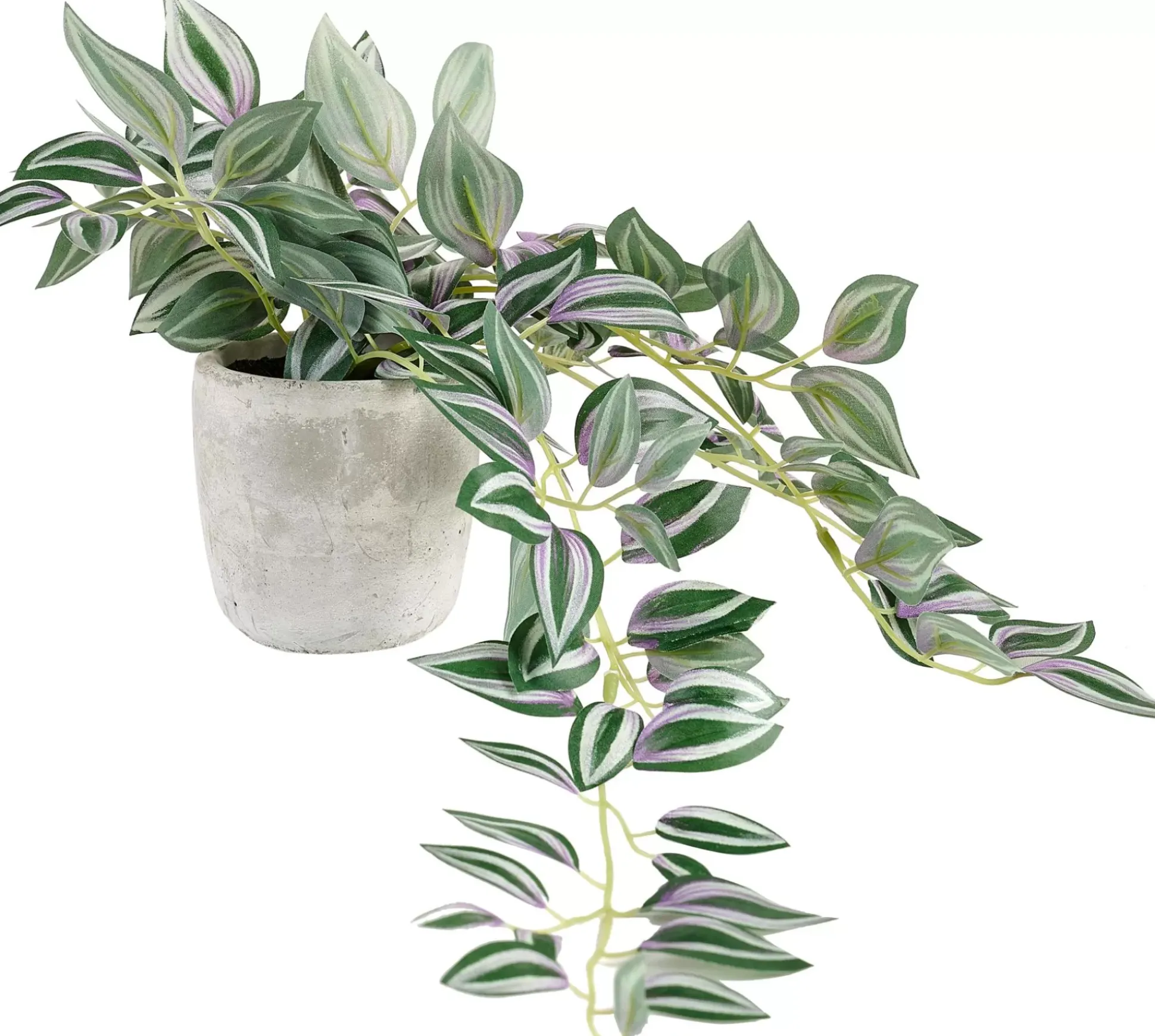 Plantas Artificiales<CASA Calathea Planta Colgante Gris, Verde, Morado