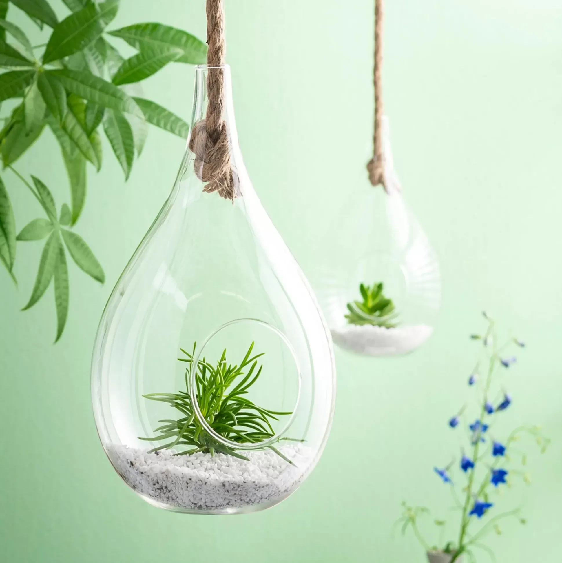 Colgadores Para Plantas<CASA Drop Gota De Vidrio Transparente