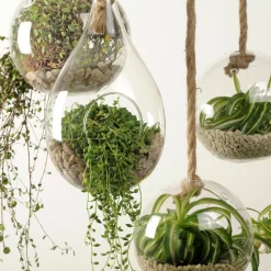 Colgadores Para Plantas<CASA Drop Gota De Vidrio Transparente