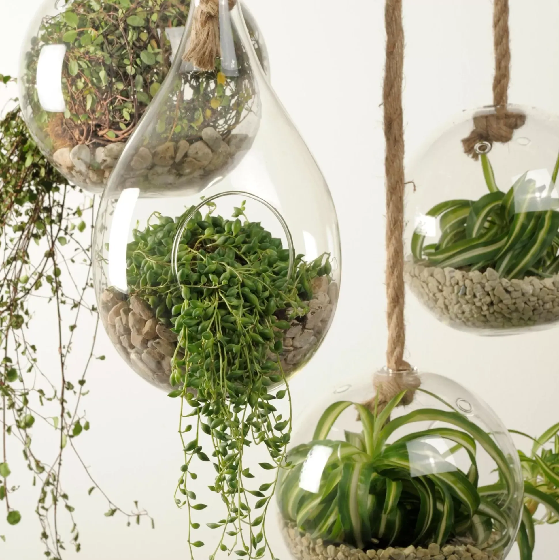 Colgadores Para Plantas<CASA Drop Gota De Vidrio Transparente