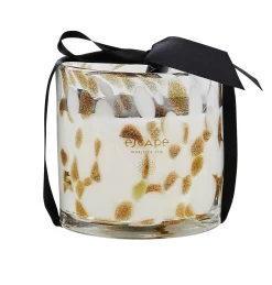 Velas<CASA Escape World Of Goa Vela Perfumada En Vaso Blanco, Dorado, Multicolor