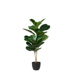 Plantas Artificiales<CASA Figi Negro, Verde Oscuro