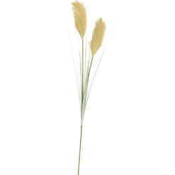 Ramos Artificiales<CASA Grass Cana Con Pluma Verde