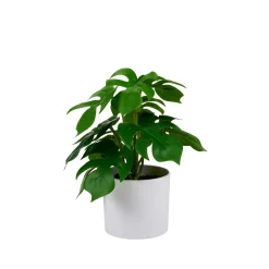 Plantas Artificiales<CASA Monstera Planta Varios Colores
