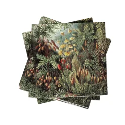 Servilletas<CASA Moss Paquete De 20 Servilletas Multicolor