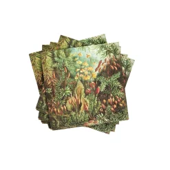 Servilletas<CASA Moss Paquete De 20 Servilletas Multicolor