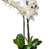Plantas Artificiales<CASA Orchid Orquidea En Maceta Blanco
