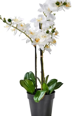 Plantas Artificiales<CASA Orchid Orquidea En Maceta Blanco