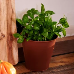 Macetas<CASA Rusty Macetero Marron