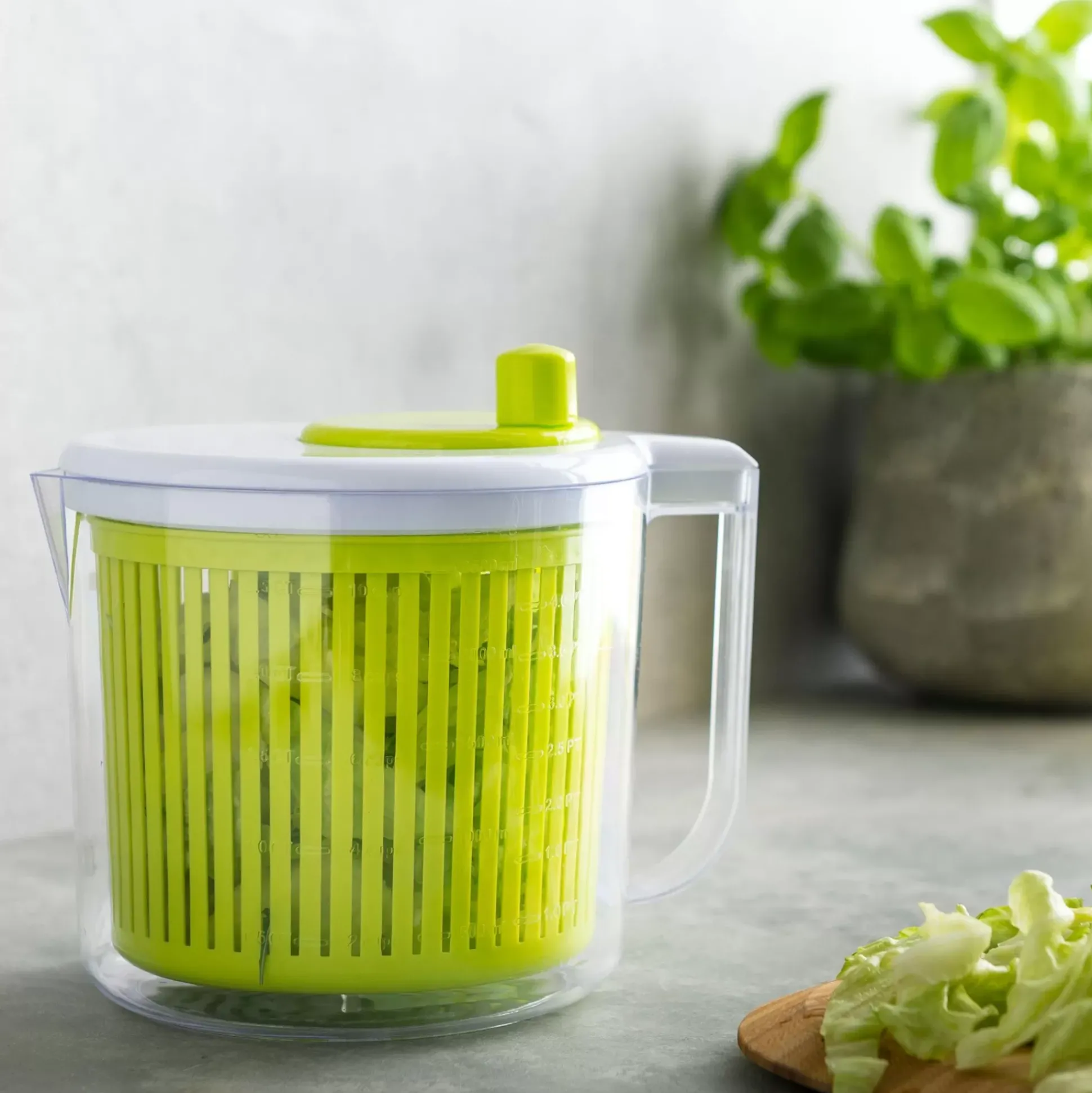 Escurridores<CASA Vida Verde Miniescurridor De Lechugas Blanco, Verde